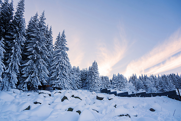 포토 JPG 해외이미지 나무 계절 공원 백그라운드 크리스마스 겨울 밭 자연 아침 휴식 산 파노라마 풍경 경사 사람없음 야외 목재 빛 컬러풀 햇빛 태양 노란색 일출 냉동 침묵 일몰 추위 흰색 나뭇가지 소나무 저녁 숲 서리 장면 북쪽 침엽수 전나무 불가리아 삼림지대 해외포토 주간 자연요소 식물 공공시설 기념일 컬러 컨셉 농업 재료 촬영기법 노을 소리 야간 방향 생태계 파일형식 남유럽 이미지허브