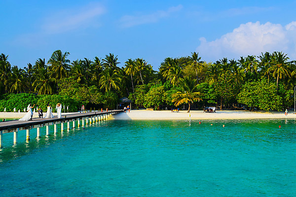 포토 JPG 해외이미지 나무 식물 모래 바다 섬 여행 백그라운드 자연 하늘 휴가 휴식 손바닥 그림자 풍경 사람없음 물 여름 파란색 햇빛 태양 맑음 침묵 시골 휴양지 코코넛 천국 석호 몰디브 이국적 터키석 파라다이스 해외포토 자연요소 손 계절 아시아 컬러 컨셉 과일 날씨 소리 장소 보석 생태계 파일형식 이미지허브