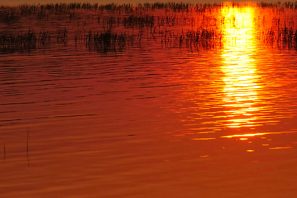 포토 JPG 해외이미지 실루엣 호수 밧줄 파도 백그라운드 오렌지 자연 하늘 표면 아침 휴식 풍경 사람없음 야외 빨간색 물 여름 파란색 빛 컬러풀 태양 반사 평화 우주 일출 맑음 보라색 침묵 새벽 프랑스 안개 시골 저녁 운하 우울감 수평선 해외포토 주간 자연요소 계절 감정 유럽 줄 바다 컬러 컨셉 과일 날씨 촬영기법 노을 소리 야간 생태계 파일형식 이미지허브