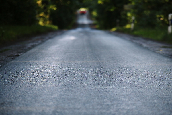 포토 JPG 해외이미지 나무 도로 거리 사람없음 야외 초록색 검은색 회색 시골 숲 해외포토 식물 길 컬러 교통시설 파일형식 이미지허브