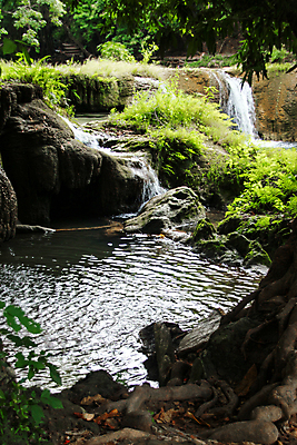 포토 JPG 해외이미지 나무 계절 공원 여행 잎 태국 자연 산 풍경 사람없음 야외 초록색 물 빛 강 여행객 평화 환경 봄 폭포 젖음 흐름 가을 신선 개울 숲 내추럴 전국 해외포토 자연요소 식물 공공시설 아시아 컬러 컨셉 사람 생태계 파일형식 이미지허브
