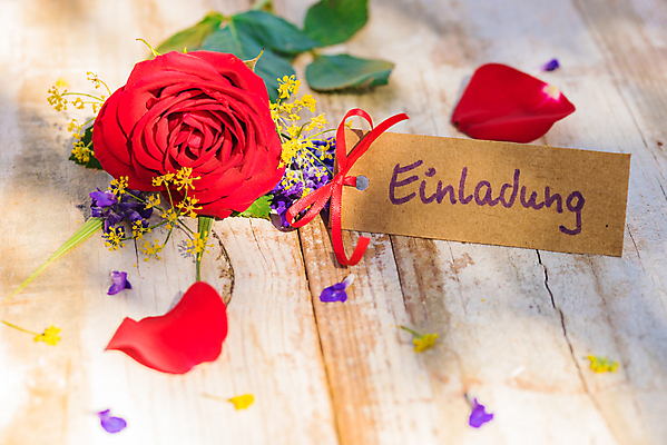 포토 JPG 해외이미지 기념일 꽃 꽃다발 백그라운드 텍스트 탁자 이벤트 사람없음 목재 빨간색 단어 라벨 시골 축하 신용카드 초대 해외포토 나무 식물 문자 컬러 가구 컨셉 재료 프레임 금융 파일형식 이미지허브