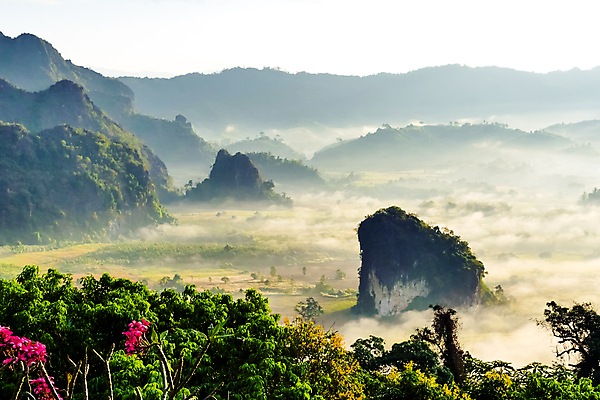 포토 JPG 해외이미지 나무 구름 계절 공원 여행 백그라운드 태국 자연 하늘 아침 산 개구리 풍경 사람없음 야외 빛 일출 하이킹 회색 안개 가을 흰색 숲 언덕 내추럴 뿌연 해외포토 주간 자연요소 식물 공공시설 아시아 컬러 레저 날씨 양서류 노을 생태계 파일형식 이미지허브