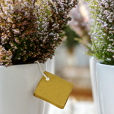 포토 JPG 해외이미지 식물 꽃 화초 백그라운드 컨셉 꽃무늬 자연 탁자 노동자 사람없음 초록색 라벨 상점 정원 봄 닫기 냄비 꽃집 원예 내추럴 심기 원예사 해외포토 직업 계절 컬러 가구 무늬 모션 프레임 취미 솥 생태계 파일형식 이미지허브