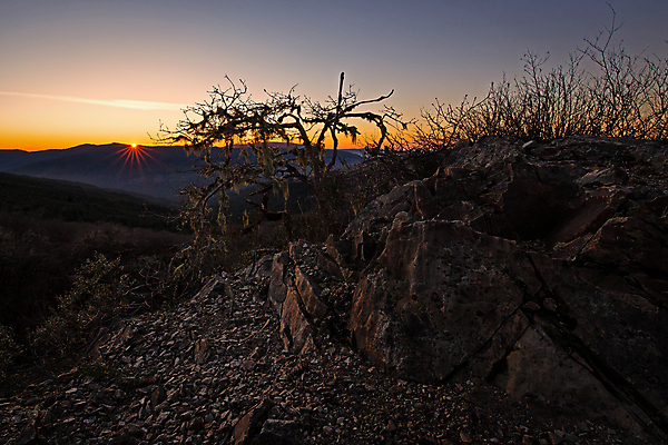 포토 JPG 해외이미지 나무 구름 여행 백그라운드 북아메리카 자연 하늘 날씨 산 풍경 경사 사람없음 관광지 빛 햇빛 태양 일출 골짜기 일몰 하이킹 광선 바위 황금 언덕 그림 사암 내추럴 절정 해외포토 자연요소 식물 레저 아메리카 노을 돌_바위 생태계 파일형식 이미지허브