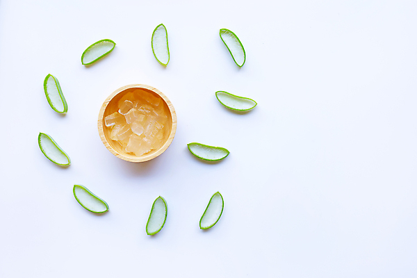 포토 JPG 해외이미지 스튜디오촬영 단면 실내 사람없음 하이앵글 흰배경 나무그릇 알로에 해외포토 식물 그릇 뷰포인트 백그라운드 내부 목재 흰색 파일형식 이미지허브