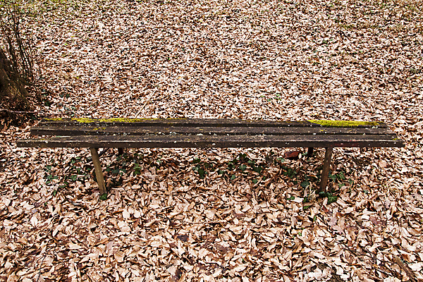 포토 JPG 해외이미지 식물 계절 공원 길 백그라운드 잎 패턴 벤치 의자 자연 벽지 휴식 따뜻함 풍경 사람없음 야외 목재 빨간색 초록색 빛 컬러풀 갈색 노란색 평화 정원 침묵 가을 나뭇가지 시골 황금 장면 내추럴 옛날 혼자 해외포토 나무 공공시설 컬러 가구 컨셉 무늬 재료 소리 생태계 파일형식 이미지허브