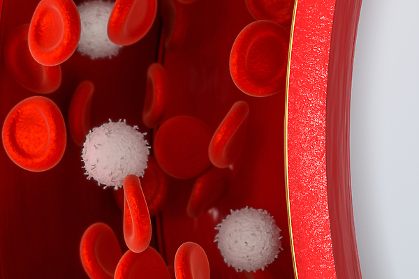 JPG 해외이미지 의학 세포 사람없음 3D 혈관 적혈구 백혈구 해외포토 포토 장기_의학 디지털합성 혈구 파일형식 이미지허브