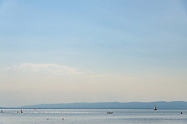 포토 JPG 해외이미지 나무 호수 바다 여행 백그라운드 자연 하늘 날씨 휴가 항해 갈대 풍경 사람없음 야외 초록색 물 여름 파란색 강 햇빛 여행객 맑음 젖음 보트 오스트리아 숲 해외포토 자연요소 식물 계절 유럽 컬러 배_교통 사람 태양 생태계 파일형식 이미지허브