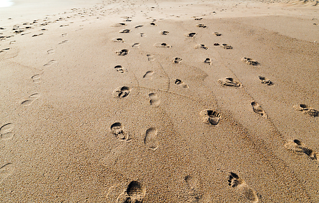 포토 JPG 해외이미지 모래 파도 여행 백그라운드 오렌지 아프리카 자연 건조 파노라마 이집트 그림자 풍경 사람없음 야외 여름 모래사장 태양 노란색 일출 계곡 맑음 일몰 사막 뜨거움 땅 모래언덕 사파리 언덕 질감 모로코 사하라 아랍어 수평선 해외포토 자연요소 계절 나라 바다 컬러 과일 날씨 촬영기법 노을 생태계 파일형식 이미지허브