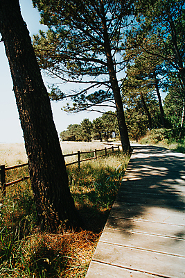 포토 JPG 해외이미지 주간 자연 휴식 풍경 사람없음 야외 평화 경관 해외포토 자연요소 컨셉 생태계 파일형식 이미지허브