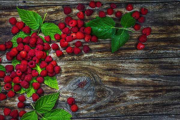 포토 JPG 해외이미지 모양 식물 열매 음식 백그라운드 잎 다이어트 과일 재료 자연 디저트 건강 사람없음 목재 가로 빨간색 초록색 컬러풀 활발 신선 그룹 사발 닫기 달콤 맛 먹기 유기농 질감 날것 산딸기 내추럴 숙성 채식주의자 카피스페이스 디톡스 비건 해외포토 나무 웰빙 컬러 컨셉 모션 공백 사기그릇 생태계 채식 파일형식 이미지허브