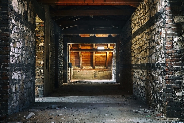 포토 JPG 해외이미지 산업 벽 백그라운드 건축양식 지붕 벽돌 바닥 실내 사람없음 내부 건물 목재 빛 어둠 손상 기둥 복도 중세 터널 큼 무서움 버리기 천장 통로 지하 나쁜 방법 옛날 오싹 해외포토 나무 건축물 건축 감정 길 컨셉 재료 모션 역사 크기 파일형식 이미지허브
