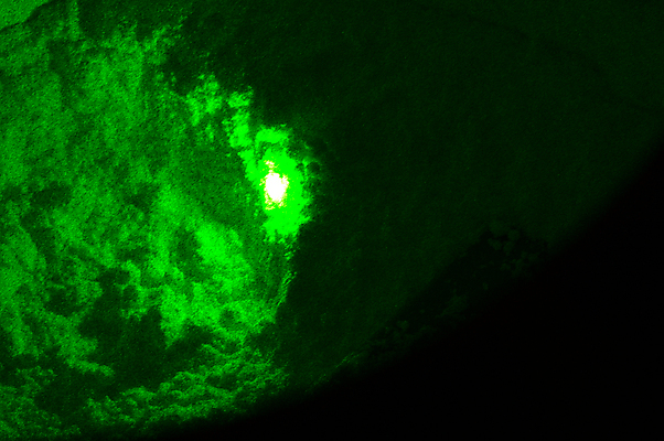 포토 JPG 해외이미지 백그라운드 추상 사람없음 빛 반사 질감 특별함 해외포토 컨셉 무늬 파일형식 이미지허브