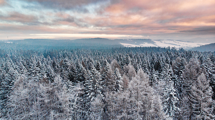 포토 JPG 해외이미지 나무 구름 계절 분홍색 겨울 일러스트 자연 추상 산 파노라마 풍경 사람없음 야외 일출 환경 일몰 추위 흰색 눈송이 숲 언덕 전나무 삼림지대 절정 눈내림 가문비나무 해외포토 자연요소 식물 컬러 무늬 눈_날씨 촬영기법 노을 생태계 파일형식 이미지허브