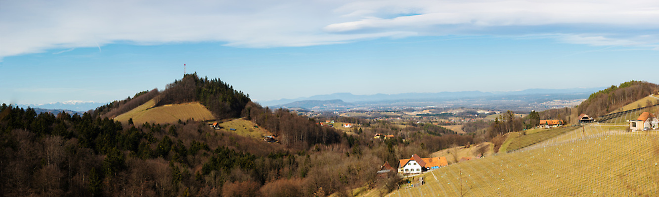 포토 JPG 해외이미지 식물 구름 계절 여행 밭 농업 과일 자국 자연 휴가 산 파노라마 풍경 사람없음 야외 초록색 여행객 평화 와인 정원 봄 시골 점 오스트리아 언덕 포도나무 남쪽 슬로베니아 양조장 해외포토 자연요소 유럽 산업 컬러 컨셉 주류 촬영기법 사람 과일나무 방향 생태계 파일형식 이미지허브