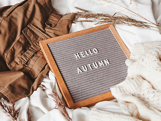 포토 JPG 해외이미지 식물 영어 옷 액자 실내 액자틀 사람없음 장식 가을 천 해외포토 문자 계절 틀 내부 직물 파일형식 이미지허브