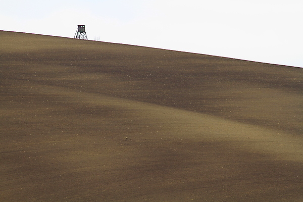 포토 JPG 해외이미지 나무 유럽 야생동물 여행 밭 자연 벽지 휴가 파노라마 그림자 사람 풍경 사람없음 야외 초록색 여름 컬러풀 태양 와인 맑음 놀람 봄 산책로 언덕 만족 그림 지역 체코 남쪽 공화국 토스카나 모라비아 해외포토 자연요소 식물 동물 계절 감정 나라 길 컬러 농업 날씨 주류 촬영기법 표정 이탈리아 방향 생태계 파일형식 이미지허브
