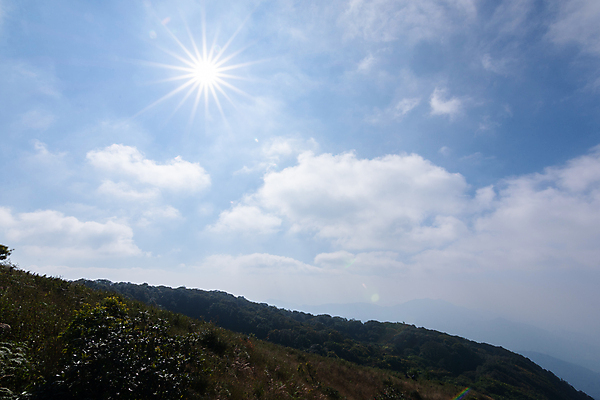 포토 JPG 해외이미지 공원 자국 태국 자연 사람없음 해외포토 공공시설 아시아 생태계 파일형식 이미지허브