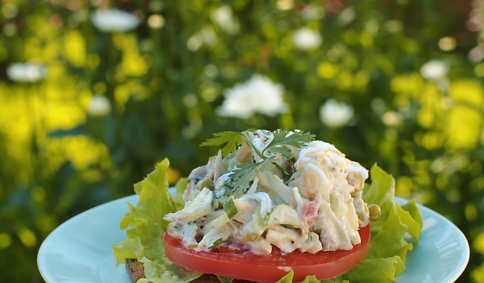 포토 JPG 해외이미지 접시 음식 빵 조각 백그라운드 잎 토마토 채소 탁자 치즈 패스트푸드 샌드위치 건강 사람없음 야외 초록색 여름 파란색 정원 샐러드 신선 닫기 맛 소프트포커스 상추 먹기 속도 유기농 점심식사 돌리기 되감기 핸드메이드 해외포토 식물 식기 웰빙 계절 컬러 가구 컨셉 모션 유제품 촬영기법 식사 인스턴트 파일형식 이미지허브