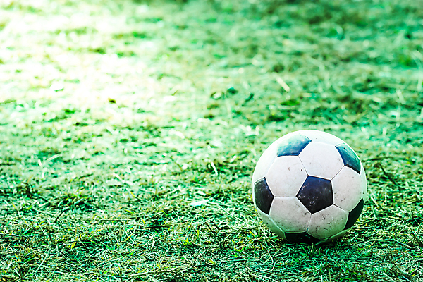 포토 JPG 해외이미지 식물 디자인 공원 스포츠 백그라운드 패턴 밭 공 자연 벽지 놀이 하늘 추상 잔디 사람없음 야외 초록색 축구 경쟁 경기장 봄 게임 흰색 신선 땅 질감 내추럴 골 해외포토 계절 공공시설 컬러 컨셉 무늬 농업 스포츠시설 구기 생태계 파일형식 이미지허브