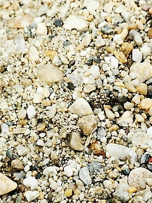 포토 JPG 해외이미지 접시 꽃 음식 백그라운드 비즈니스 자연 탁자 밥 추상 풍경 사람없음 야외 조약돌 바위 흰색 양 닫기 작음 브로콜리 질감 고립 해외포토 식물 식기 컬러 가구 무늬 채소 포유류 모션 돌_바위 크기 생태계 파일형식 이미지허브