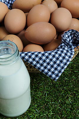 포토 JPG 해외이미지 음식 백그라운드 재료 자연 부활절 건강 요리 사람없음 농장 갈색 노란색 계란 치킨 우유 껍질 흰색 신선 그룹 아침식사 먹기 유기농 날것 내추럴 단백질 생식 취급주의 해외포토 웰빙 기념일 컬러 농업 모션 유제품 경고 알 식사 생태계 닭고기요리 영양소 파일형식 이미지허브