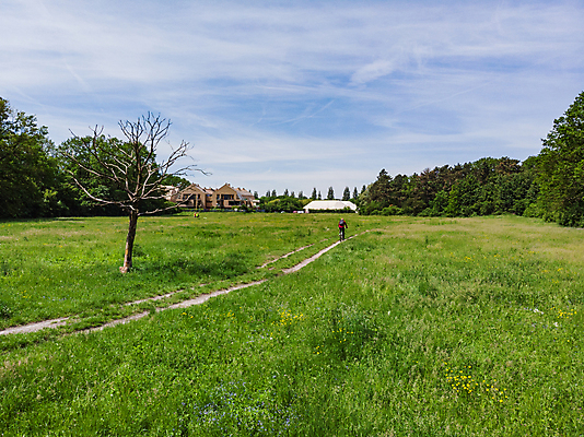 포토 JPG 해외이미지 나무 식물 구름 공원 유럽 길 선 백그라운드 패턴 밭 자연 하늘 건조 안테나 풍경 잔디 사람없음 야외 건물 초록색 여름 파란색 정원 자전거 신선 승차 오솔길 땅 가득함 질감 공터 폴란드 내추럴 더블 드론 땅바닥 브로츠와프 조감도 해외포토 자연요소 건축물 계절 공공시설 나라 컬러 무늬 농업 통신 모션 바닥 바이크 생태계 파일형식 이미지허브