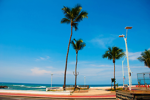 포토 JPG 해외이미지 나무 모래 파도 바다 여행 우산 자연 휴가 손바닥 풍경 사람없음 가로 물 여름 파란색 도시풍경 태양 맑음 축구 미국 목욕 도시 만 보트 가득함 브라질 대서양 남쪽 파라다이스 브라질사람 해외포토 자연요소 식물 손 계절 컬러 북아메리카 배_교통 날씨 구기 청결 남아메리카 방향 생태계 파일형식 이미지허브