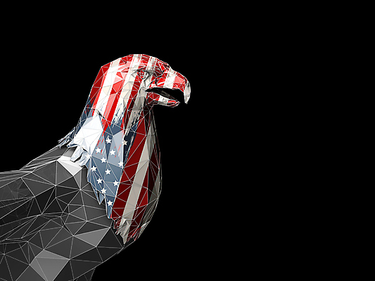 포토 JPG 해외이미지 모양 전통 디자인 배너 별 문화 물결 백그라운드 일러스트 조류 프레임 사람없음 가로 빨간색 파란색 미국 줄무늬 자유 흰색 축하 깃발 도시 4 큼 먹이 가득함 심볼 독수리 대머리 애국심 7월 독립 엘리먼트 전국 해외일러스트 자연요소 동물 헤어스타일 컬러 컨셉 북아메리카 무늬 숫자 날짜 크기 파일형식 이미지허브