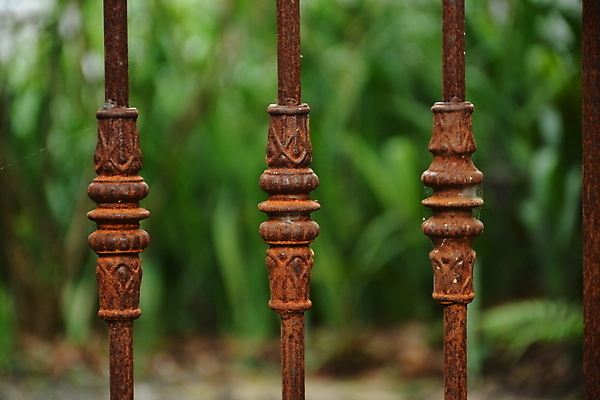 포토 JPG 해외이미지 미술 사람없음 세로 금속 정원 바 오픈 닫기 철 묘사 그네 대문 새장 설치 해외포토 모션 재질 문화예술 문 케이지 파일형식 이미지허브