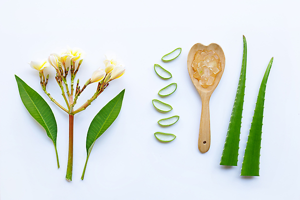 포토 JPG 해외이미지 스튜디오촬영 꽃 단면 실내 사람없음 하이앵글 흰배경 나무숟가락 알로에 플랫레이 해외포토 식물 뷰포인트 백그라운드 내부 숟가락 흰색 플랫 파일형식 이미지허브