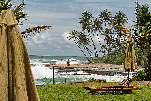 포토 JPG 해외이미지 나무 라이프스타일 모래 바다 섬 여행 의자 우산 자연 하늘 휴가 휴식 손바닥 풍경 사람없음 야외 목재 물 여름 태양 맑음 신혼여행 만 휴게실 휴양지 양산 석호 스리랑카 이국적 파라다이스 해외포토 자연요소 식물 손 계절 아시아 가구 결혼 컨셉 재료 날씨 생활 장소 생태계 파일형식 이미지허브