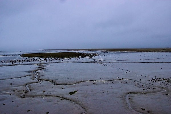 포토 JPG 해외이미지 겨울 자연 사람없음 해외포토 계절 생태계 파일형식 이미지허브