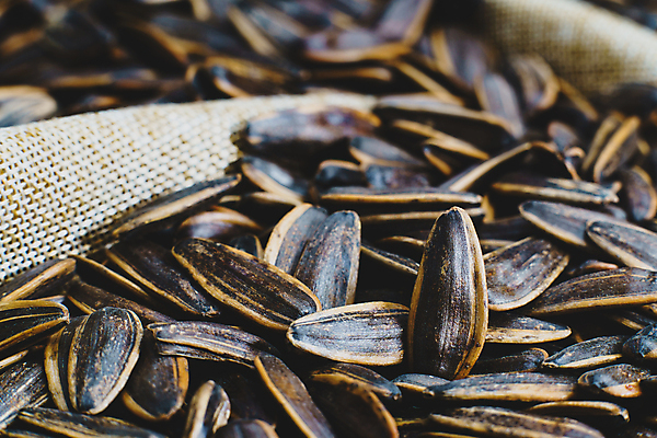 포토 JPG 해외이미지 식물 꽃 음식 백그라운드 농업 다이어트 재료 자연 해바라기 건조 건강 씨앗 사람없음 농작물 태양 쌓기 검은색 수확 껍질 신선 그룹 사발 맛 정상 낟알 시리얼 굽기 먹기 묘사 유기농 알맹이 날것 자루 섬유 내추럴 채식주의자 많음 해외포토 자연요소 웰빙 산업 컬러 컨셉 모션 직물 사기그릇 구이 생태계 채식 파일형식 이미지허브