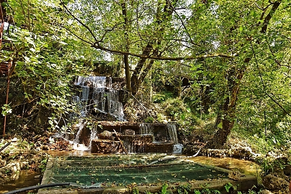 포토 JPG 해외이미지 나무 계절 백그라운드 자연 풍경 사람없음 야외 물 여름 환경 폭포 흐름 추위 투명 작음 질감 해외포토 자연요소 식물 컨셉 크기 생태계 파일형식 이미지허브