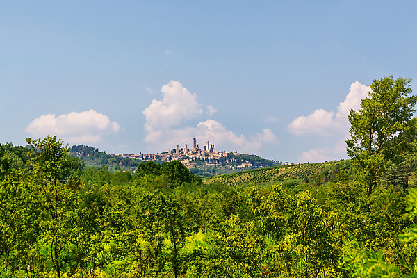 포토 JPG 해외이미지 유럽 중년 건축양식 파노라마 풍경 사람없음 건물 여름 탑 와인 이탈리아 도시 중세 역사 시력 포도밭 포도나무 타운 8월 옛날 토스카나 해외포토 건축물 계절 건축 나라 밭 주류 촬영기법 성인 날짜 과일나무 파일형식 이미지허브