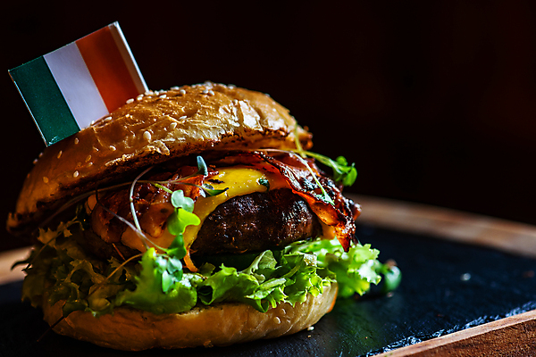 포토 JPG 해외이미지 검은배경 패스트푸드 실내 사람없음 한개 햄버거 깃발 인스턴트 정크푸드 아일랜드국기 해외포토 1 음식 백그라운드 내부 검은색 국기 파일형식 이미지허브