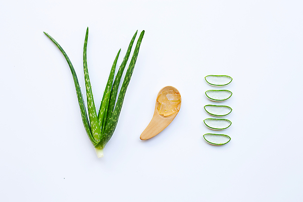 포토 JPG 해외이미지 스튜디오촬영 단면 실내 사람없음 하이앵글 흰배경 나무숟가락 알로에 해외포토 식물 뷰포인트 백그라운드 내부 숟가락 흰색 파일형식 이미지허브