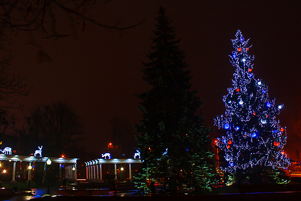 포토 JPG 해외이미지 나무 유럽 여행 크리스마스 겨울 하늘 휴가 전등 조명 새로움 거리 사람없음 장식 파란색 빛 축하 도시 야간 저녁 연도 정사각형 장면 빛망울 헬싱키 해외포토 자연요소 도형 식물 계절 기념일 나라 컬러 컨셉 핀란드 파일형식 이미지허브