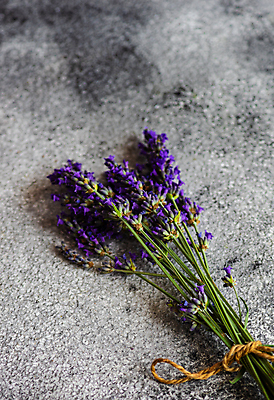 포토 JPG 해외이미지 꽃 꽃다발 실내 사람없음 다발 라벤더 해외포토 식물 내부 허브 파일형식 이미지허브