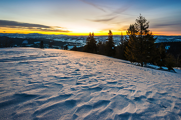 포토 JPG 해외이미지 나무 계절 유럽 여행 백그라운드 겨울 자연 하늘 휴가 산 파노라마 풍경 사람없음 야외 파란색 우주 환경 냉동 얼음 황혼 일몰 하이킹 추위 흰색 시골 야간 숲 신비 서리 북쪽 내추럴 산악지대 절정 폭설 눈내림 가문비나무 해외포토 자연요소 식물 나라 컬러 컨셉 레저 눈_날씨 촬영기법 노을 자연재해 방향 생태계 파일형식 이미지허브