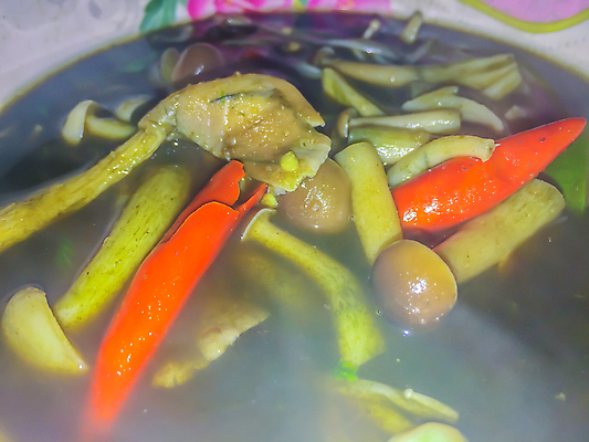 포토 JPG 해외이미지 전통 접시 아시아 음식 백그라운드 잎 채소 태국 고추 양파 건강 육류 요리 사람없음 빨간색 초록색 식당 식사 저녁식사 버섯 흰색 신선 뜨거움 사발 맛 수프 혼합 먹기 허브 해산물 향신료 메뉴 매움 후추 바질 점심식사 섞기 태국음식 스타일 해외포토 식물 식기 나라 컬러 컨셉 식재료 모션 상점 사기그릇 동양음식 향미료 파일형식 이미지허브