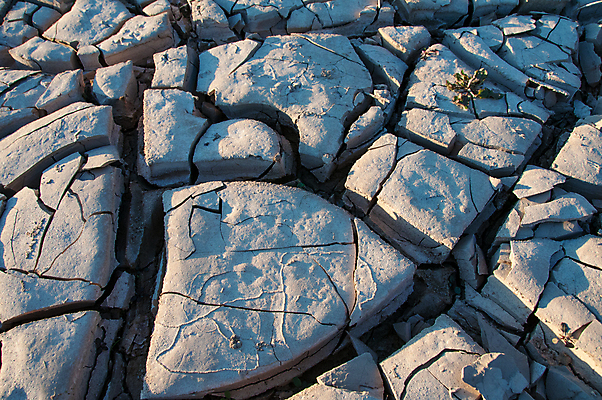 포토 JPG 해외이미지 공원 지구 여행 백그라운드 자연 하늘 표면 산 멕시코 건조 숙이기 풍경 사람없음 물 강 산타클로스 갈색 환경 골짜기 미국 흙 사막 뜨거움 균열 큼 땅 질감 먼지 점토 지역 진흙 가뭄 층 내추럴 땅바닥 전국 텍사스 해외포토 자연요소 공공시설 컬러 포즈 크리스마스 북아메리카 모션 날씨 바닥 크기 생태계 파일형식 이미지허브