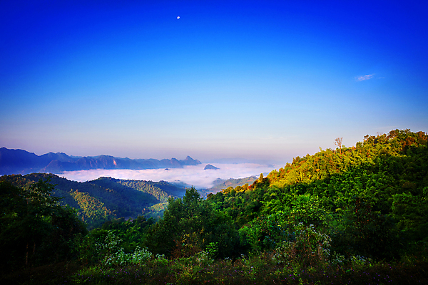 포토 JPG 해외이미지 나무 여행 잎 태국 자연 하늘 아침 산 풍경 사람없음 야외 컬러풀 평화 일출 계곡 새벽 안개 숲 산등성이 장면 내추럴 해외포토 주간 자연요소 식물 아시아 컬러 컨셉 날씨 노을 생태계 파일형식 이미지허브