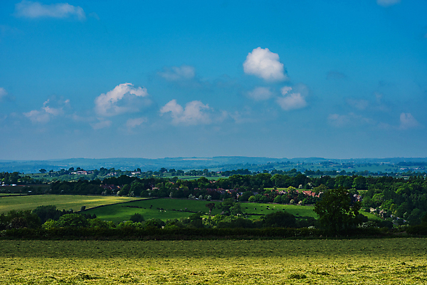 포토 JPG 해외이미지 나무 구름 꽃 길 야생동물 여행 잎 밭 자연 하늘 영국 잉글랜드 따뜻함 풍경 사람없음 야외 초록색 여름 파란색 울타리 운동 햇빛 태양 걷기 계곡 맑음 봄 하이킹 나뭇가지 시골 신선 숲 요크셔테리어 그림 내추럴 해외포토 자연요소 식물 동물 계절 유럽 컬러 농업 모션 레저 날씨 건강 담장 테리어 생태계 파일형식 이미지허브