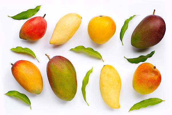 포토 JPG 해외이미지 잎 실내 종류 사람없음 여러개 열대과일 흰배경 일렬 망고 애플망고 해외포토 식물 다수 백그라운드 과일 내부 흰색 파일형식 이미지허브