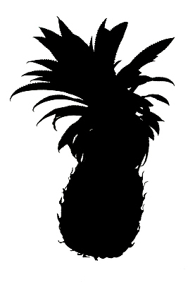 포토 JPG 해외이미지 식물 1 음식 백그라운드 잎 다이어트 과일 자연 디저트 건강 사람없음 검은색 주스 흰색 신선 달콤 파인애플 싱글 유기농 날것 고립 해외포토 웰빙 음료 컬러 맛 열대과일 생태계 파일형식 이미지허브