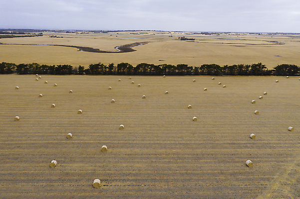 포토 JPG 해외이미지 나무 식물 선 잎 패턴 밭 농업 자연 안테나 풍경 사람없음 야외 목재 초록색 농장 갈색 환경 시골 호주 볏짚 질감 지역 내추럴 드론 밭일 삼림지대 오지 해외포토 산업 컬러 무늬 재료 통신 오세아니아 짚 숲 생태계 파일형식 이미지허브