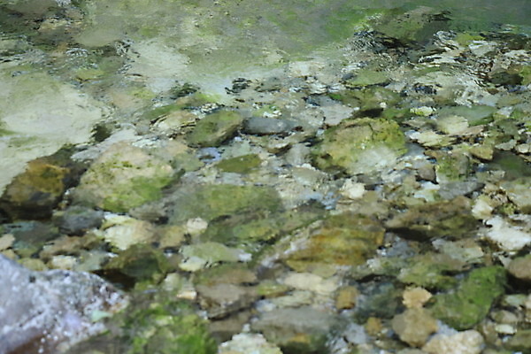 포토 JPG 해외이미지 식물 백그라운드 잎 자연 산 이끼 풍경 사람없음 초록색 물 강 환경 침묵 봄 폭포 바위 개울 황무지 티켓 수증기 숲 작음 운하 그리너리 해외포토 자연요소 계절 컬러 소리 돌_바위 크기 생태계 파일형식 트랜드컬러 이미지허브